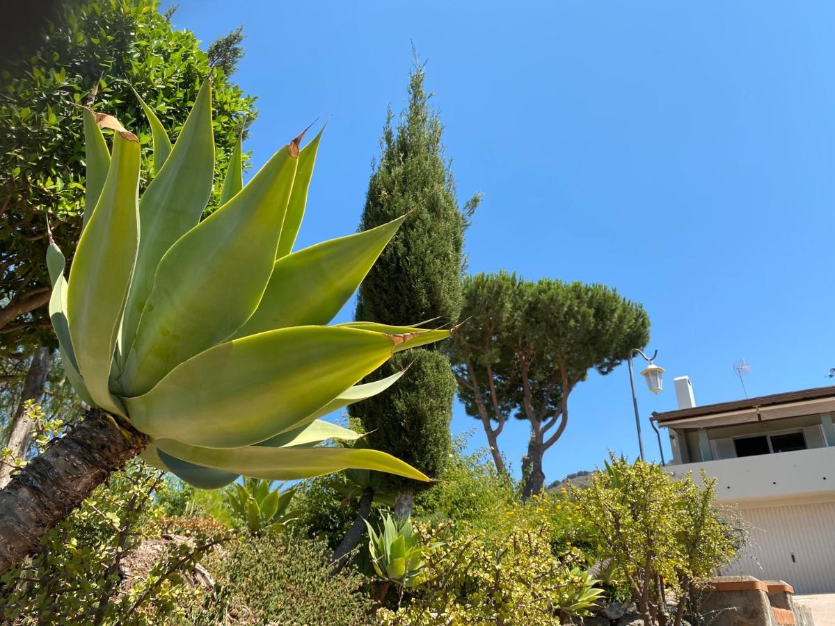 B&B Casa Oceo - Malaga - Andalusie Alhaurin de la Torre Bagian luar foto